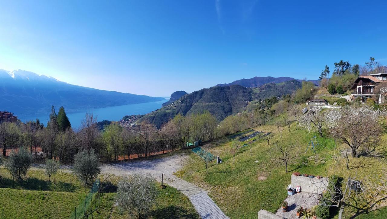 Teresa Campi Apartments Lake View By Gardadomusmea Tremosine Kültér fotó